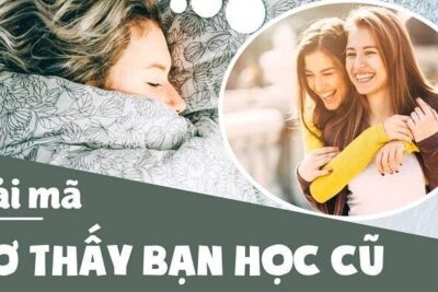 Giải đáp nằm mơ thấy bạn học cũ có điềm báo gì? Quất con gì ăn to?