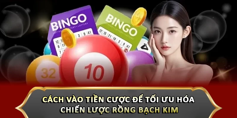 Cách vào tiền cược để tối ưu hóa chiến lược rồng bạch kim