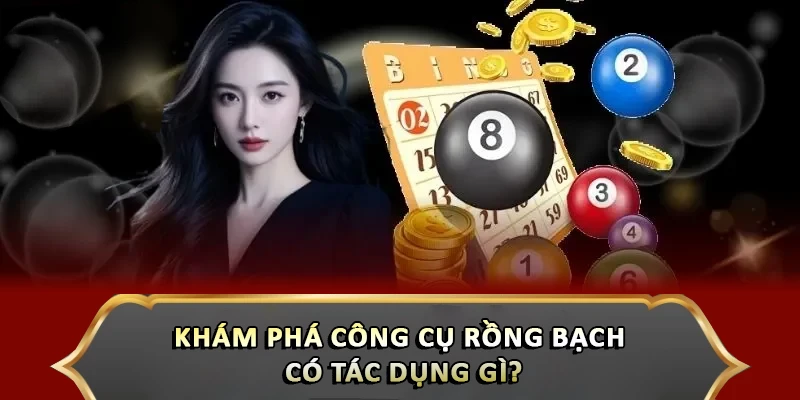 Khám phá công cụ rồng bạch có tác dụng gì?